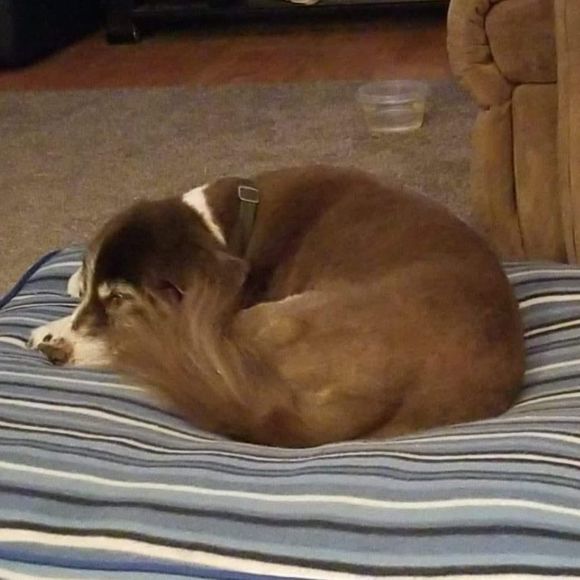 Meet your Posher, Brenda - Picture 1 of 1